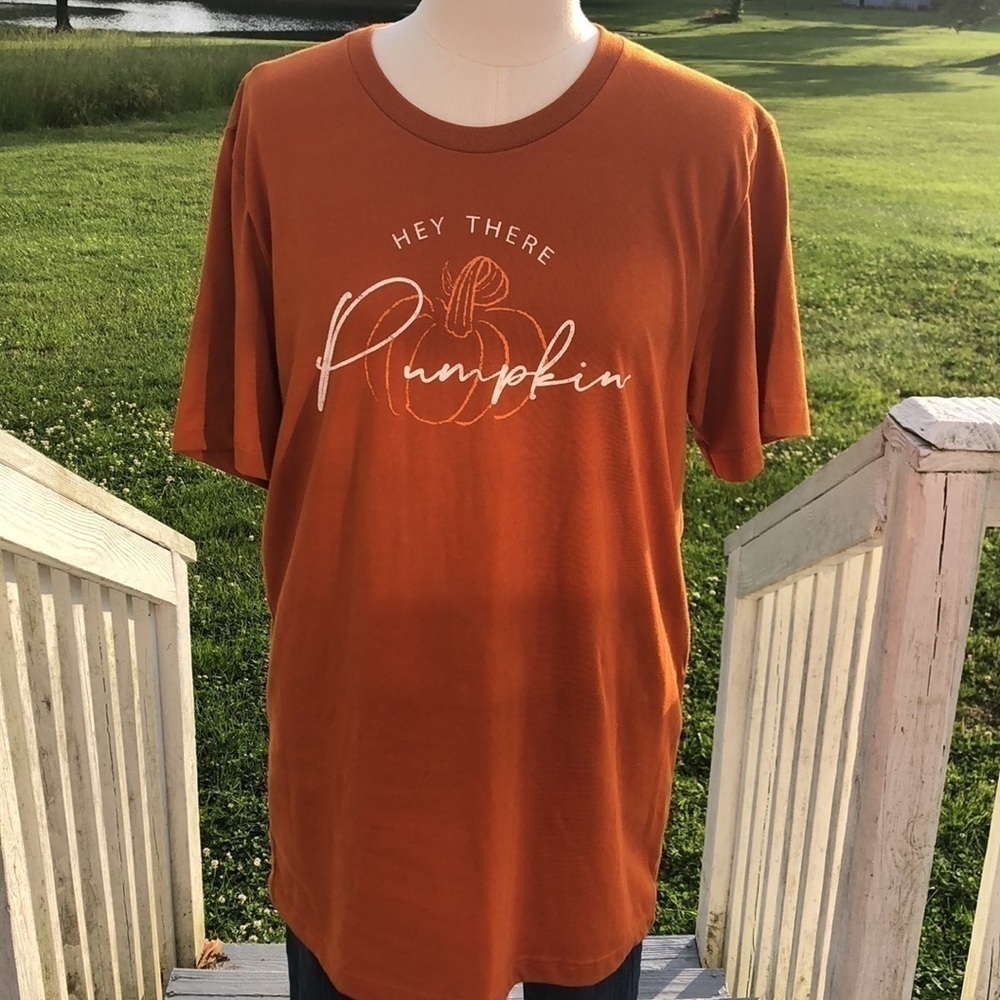 𝅺bella Canvas Hello Pumpkin T-Shirt NWT Size Large